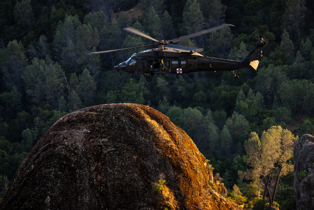 158th Aviation Regiment Provides MEDEVAC for Mojave Falcon 25