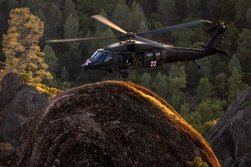158th Aviation Regiment Provides MEDEVAC for Mojave Falcon 25
