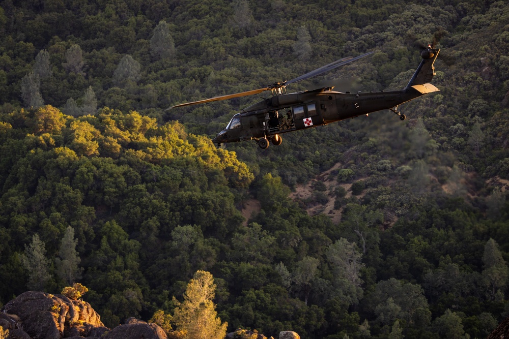 158th Aviation Regiment Provides MEDEVAC for Mojave Falcon 25