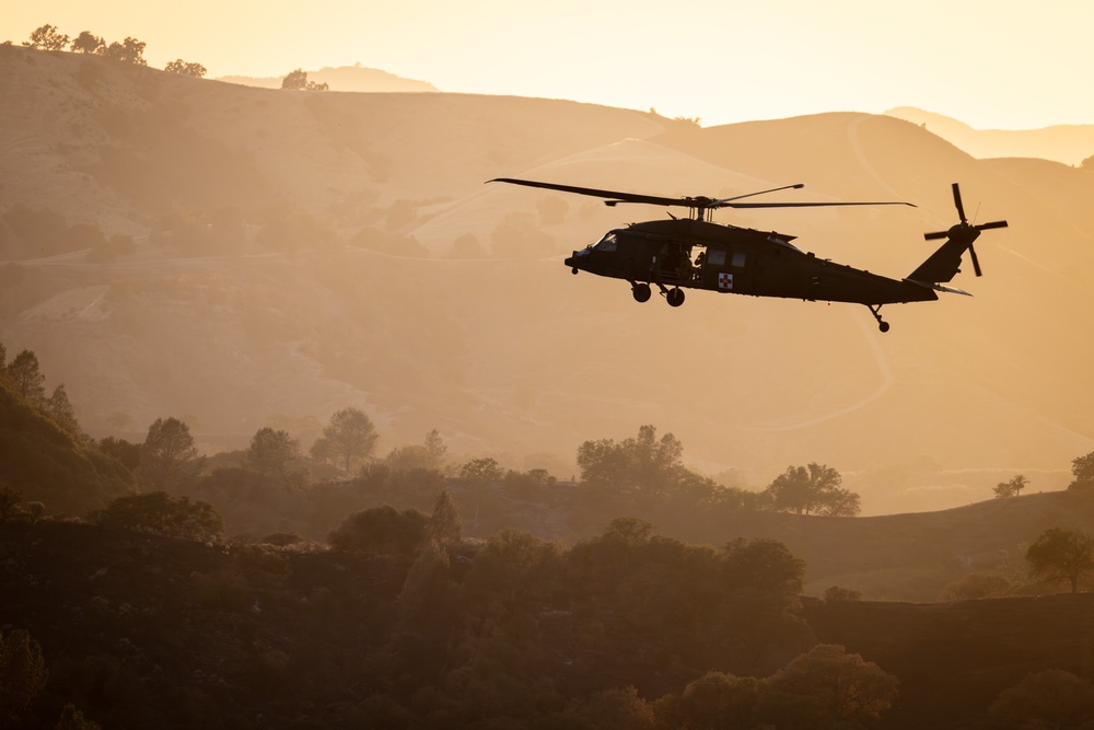 158th Aviation Regiment Provides MEDEVAC for Mojave Falcon 25
