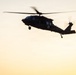 158th Aviation Regiment Provides MEDEVAC for Mojave Falcon 25