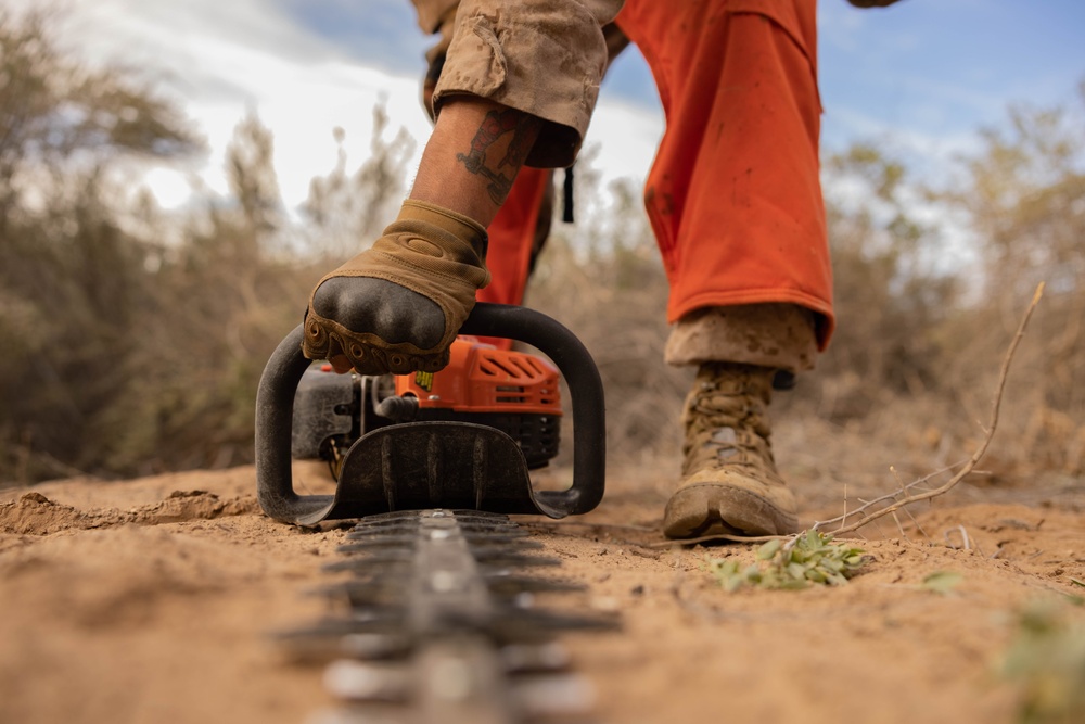 NDA 4 vegetation clearance