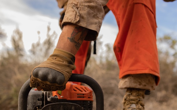 NDA 4 vegetation clearance