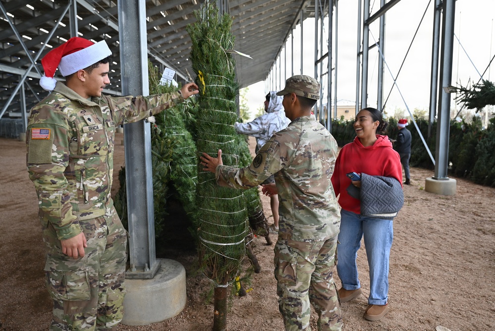 Trees for Troops spreads joy one tree at a time