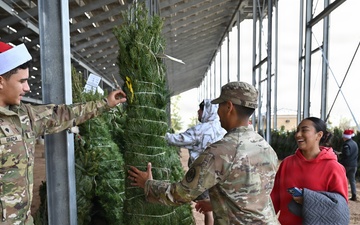 Trees for Troops spreads joy one tree at a time