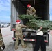 Trees for Troops spreads joy one tree at a time