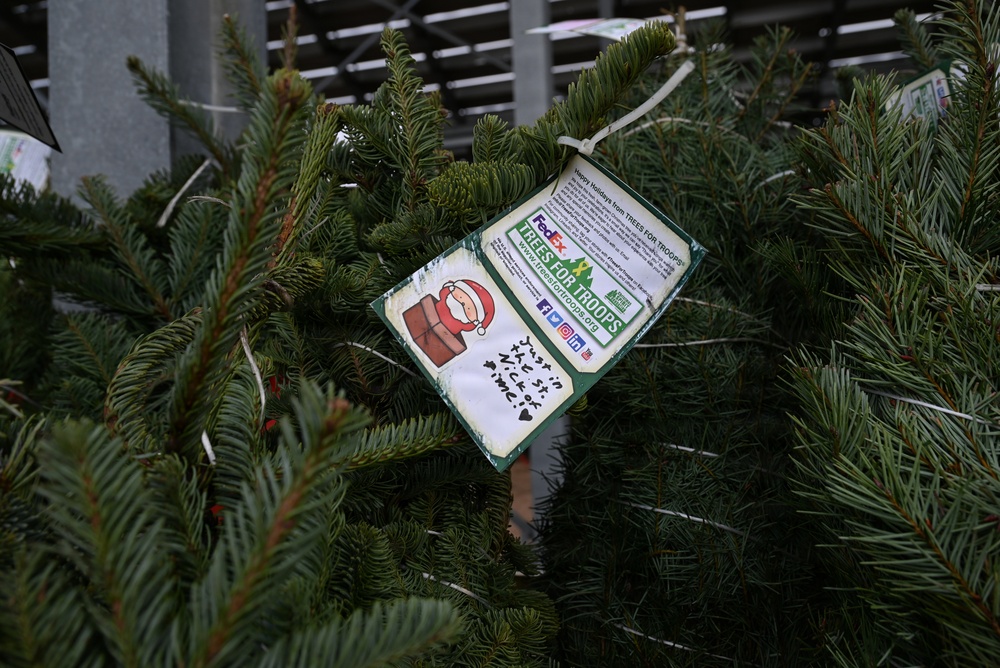 Trees for Troops spreads joy one tree at a time