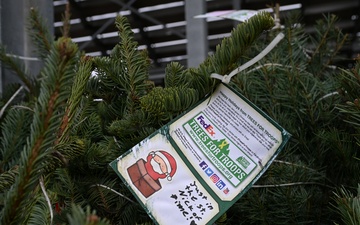 Trees for Troops spreads joy one tree at a time