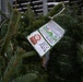 Trees for Troops spreads joy one tree at a time