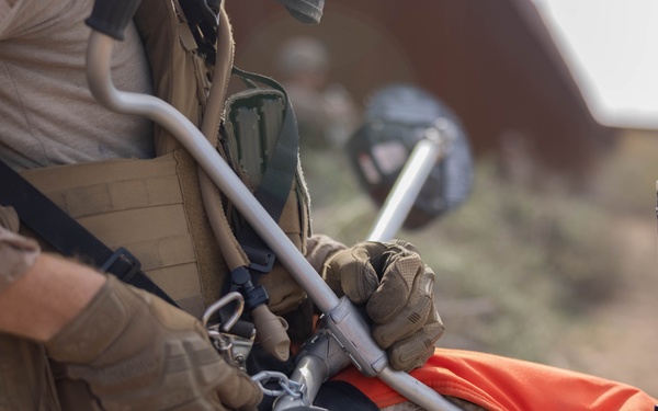 NDA 4 vegetation clearance