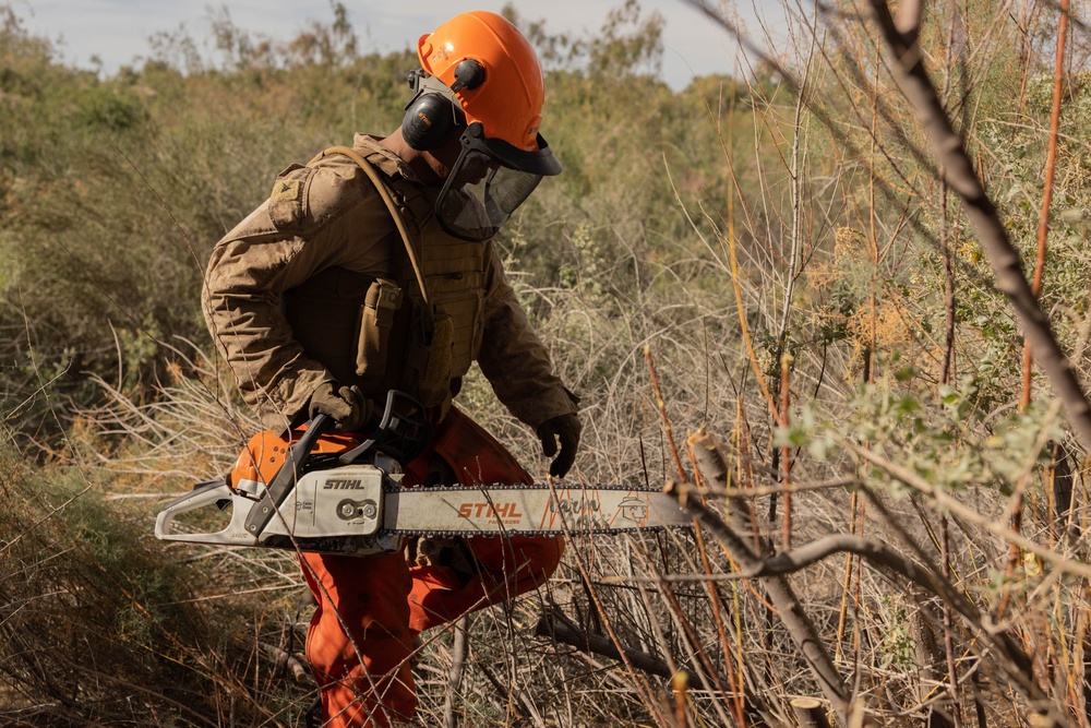 NDA 4 vegetation clearance