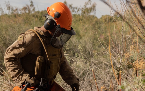 NDA 4 vegetation clearance