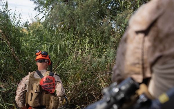 NDA 4 vegetation clearance