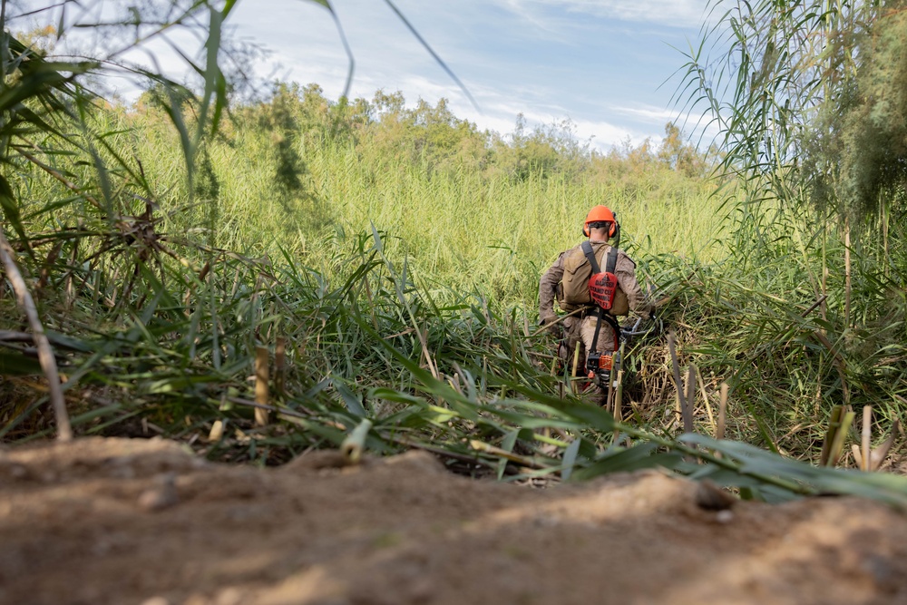 NDA 4 vegetation clearance