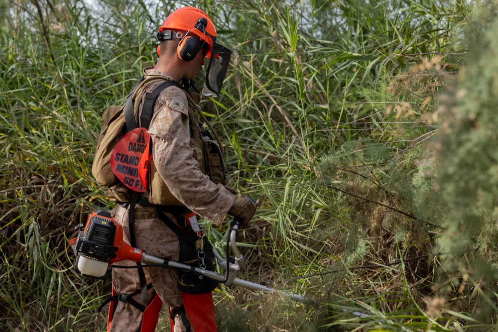 NDA 4 vegetation clearance