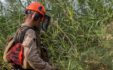 NDA 4 vegetation clearance