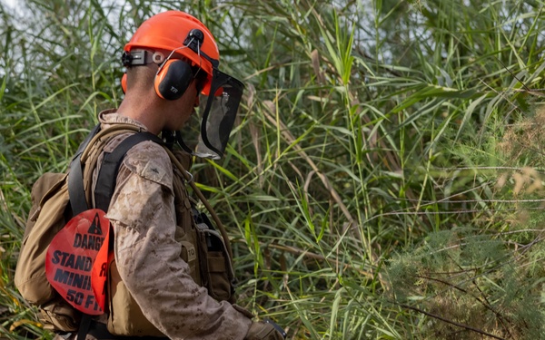 NDA 4 vegetation clearance