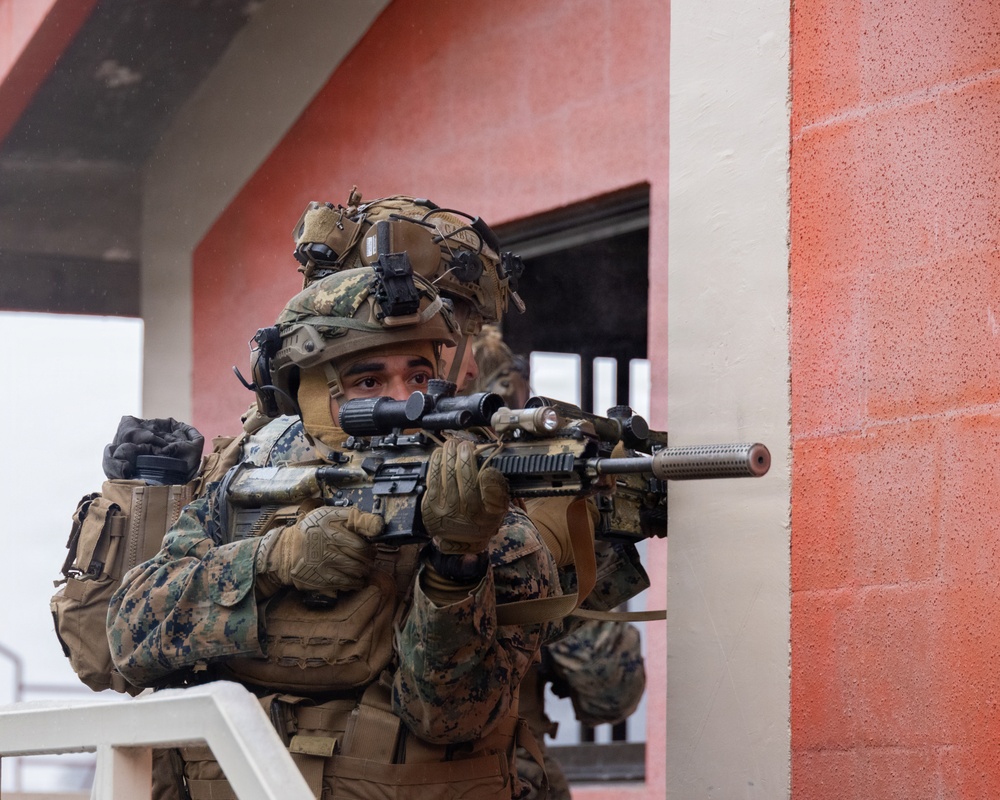 3rd MarDiv, MARFORK Commanders visit V16 during Exercise Korea Viper