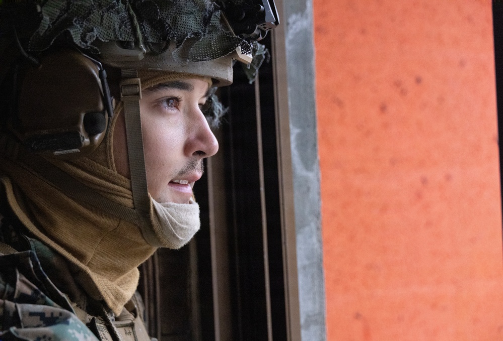 3rd MarDiv, MARFORK Commanders visit V16 during Exercise Korea Viper