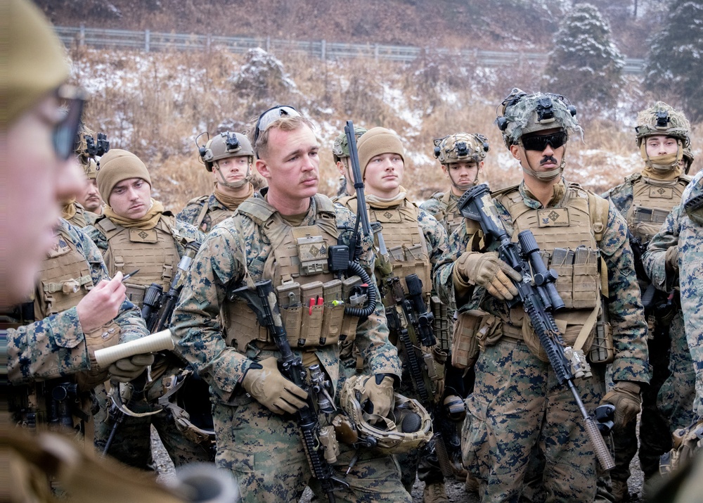 3rd MarDiv, MARFORK Commanders visit V16 during Exercise Korea Viper