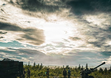 2-377 PFAR conducts Table XII live-fire training