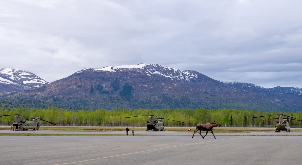 4th Quartermasters conduct static line airborne operation at Geronimo DZ