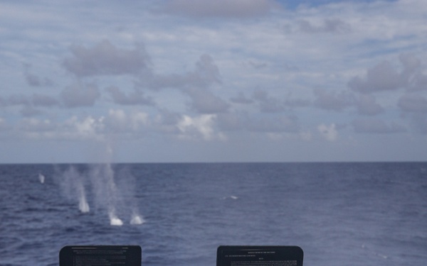 Frank E. Petersen Jr. conducts live fire exercise