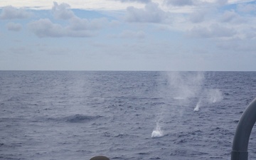 Frank E. Petersen Jr. conducts live fire exercise