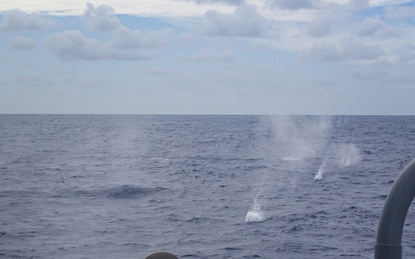 Frank E. Petersen Jr. conducts live fire exercise