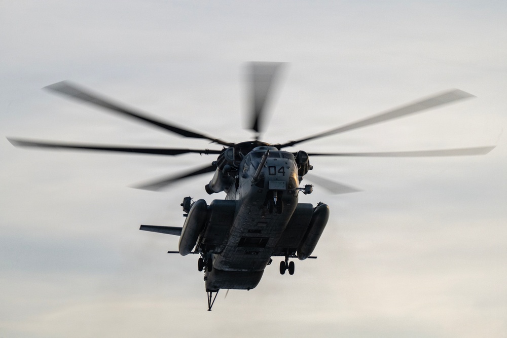 HMH-772 Supports Exercise Gilded Cage 26-1