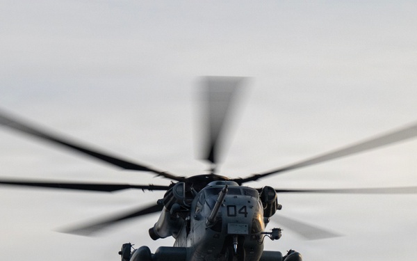 HMH-772 Supports Exercise Gilded Cage 26-1