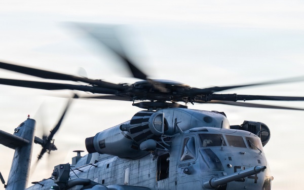 HMH-772 Supports Exercise Gilded Cage 26-1