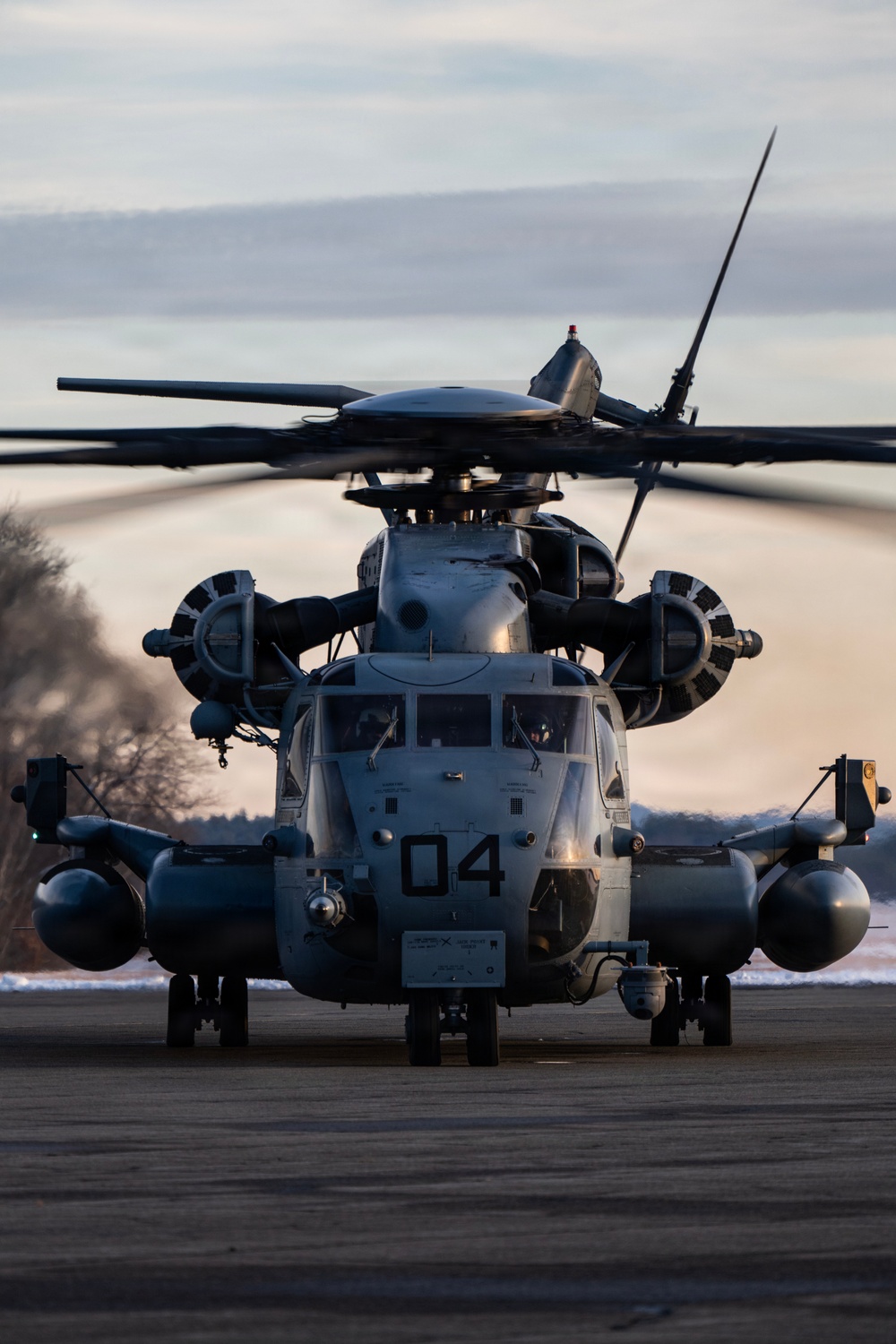 HMH-772 Supports Exercise Gilded Cage 26-1