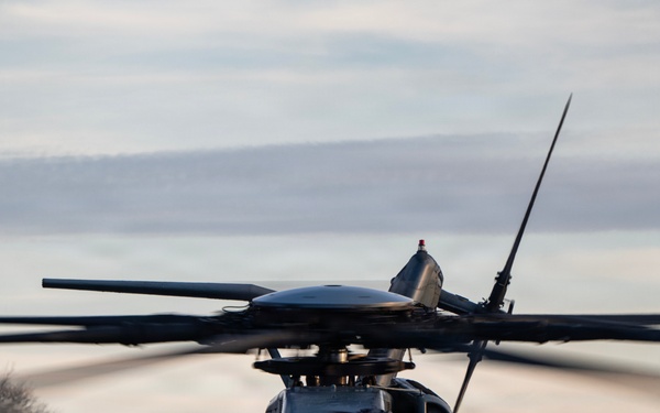 HMH-772 Supports Exercise Gilded Cage 26-1