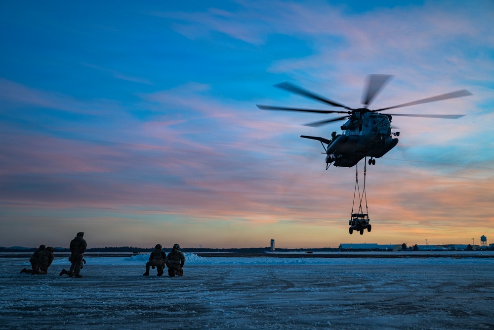 HMH-772 Supports Exercise Gilded Cage 26-1