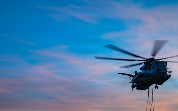 HMH-772 Supports Exercise Gilded Cage 26-1