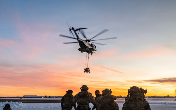 HMH-772 Supports Exercise Gilded Cage 26-1