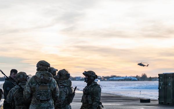 HMH-772 Supports Exercise Gilded Cage 26-1