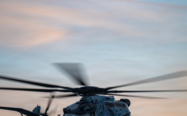 HMH-772 Supports Exercise Gilded Cage 26-1