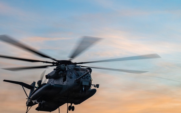 HMH-772 Supports Exercise Gilded Cage 26-1