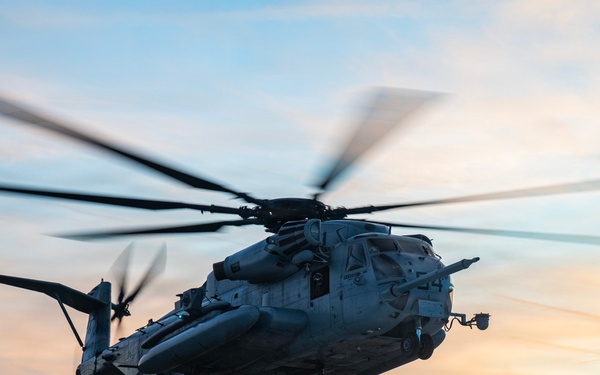 HMH-772 Supports Exercise Gilded Cage 26-1