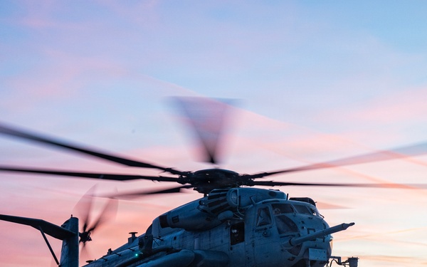 HMH-772 Supports Exercise Gilded Cage 26-1