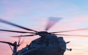 HMH-772 Supports Exercise Gilded Cage 26-1