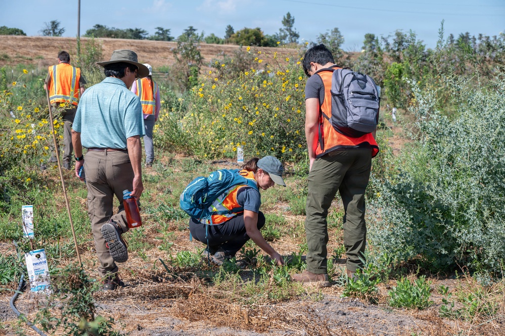 USACE Sacramento Environmental Team Visits Lower San Joaquin River West Mitigation Site