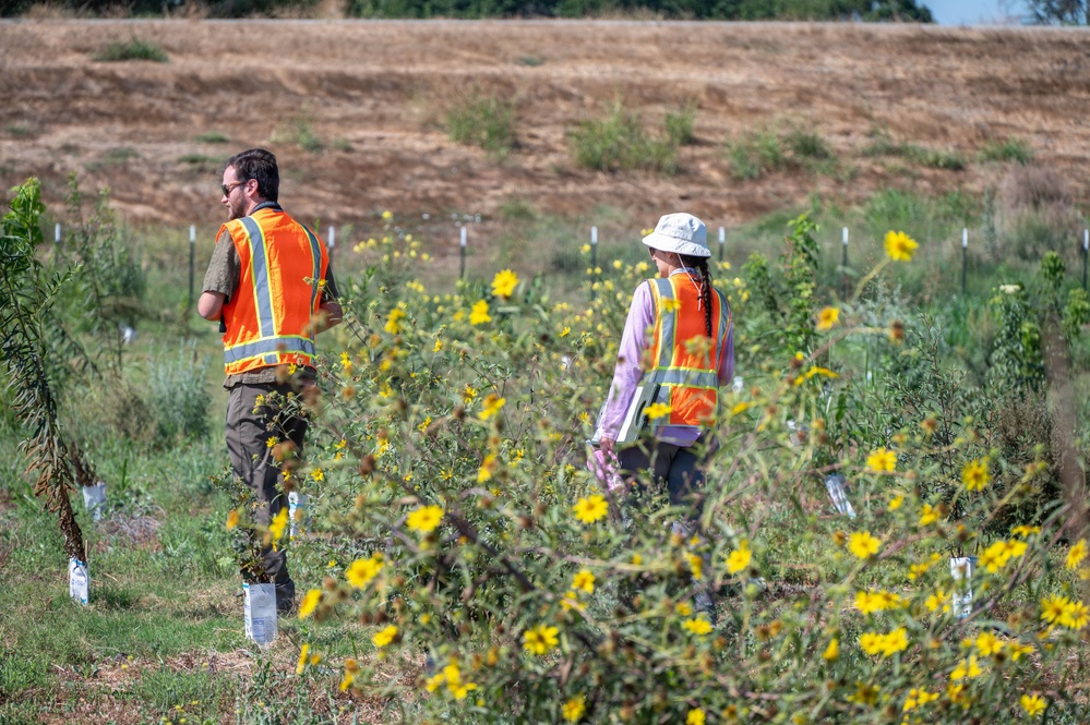 USACE Sacramento Environmental Team Visits Lower San Joaquin River West Mitigation Site