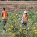 USACE Sacramento Environmental Team Visits Lower San Joaquin River West Mitigation Site
