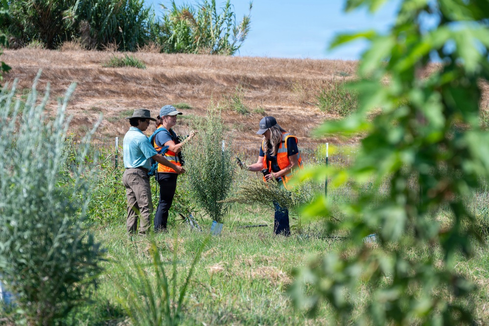 USACE Sacramento Environmental Team Visits Lower San Joaquin River West Mitigation Site
