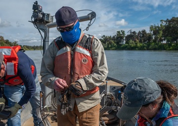 Telemetry Surveys: Tracking Life Beneath the Surface