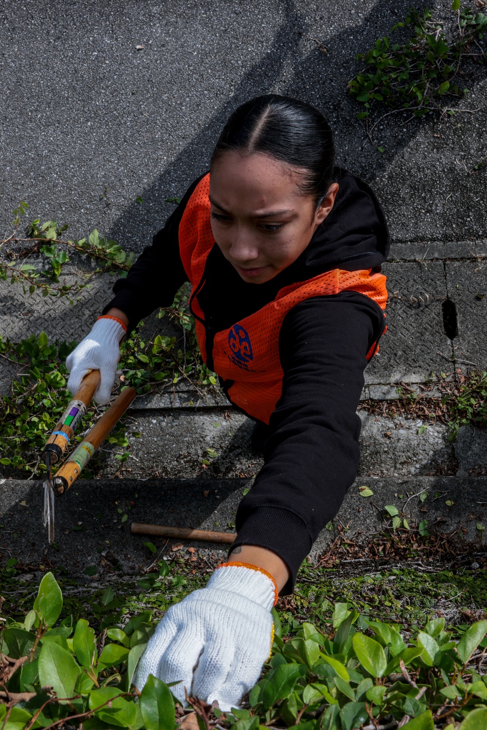 Marines volunteer in vine removal event to aide Okinawa City residents