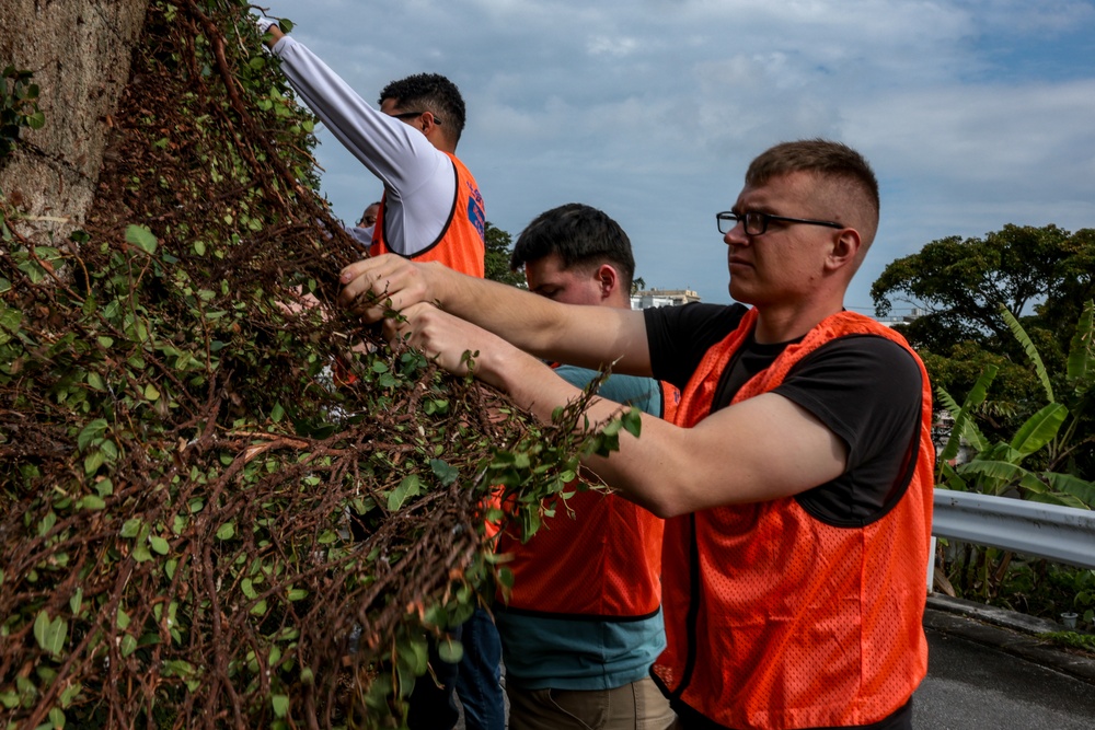 Marines volunteer in vine removal event to aide Okinawa City residents